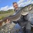 VÍTCAFÉ FISHING 1kg zrnková káva